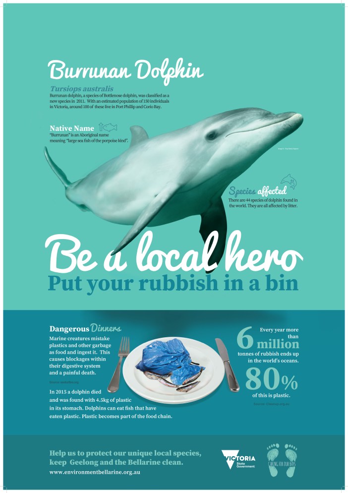 Burranan_Dolphin-060716-MO