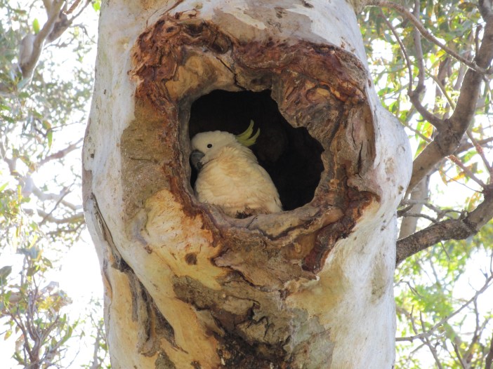 Jo Mitchell- the barown blog (002)