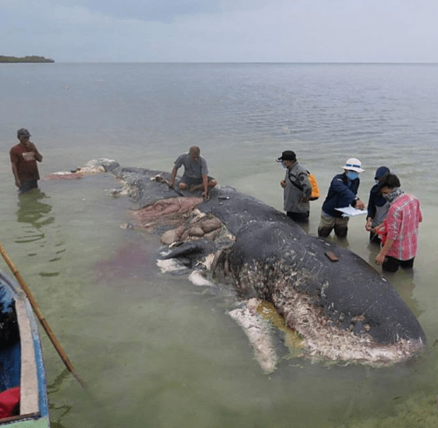 Plastic Take3fortheSea (2)