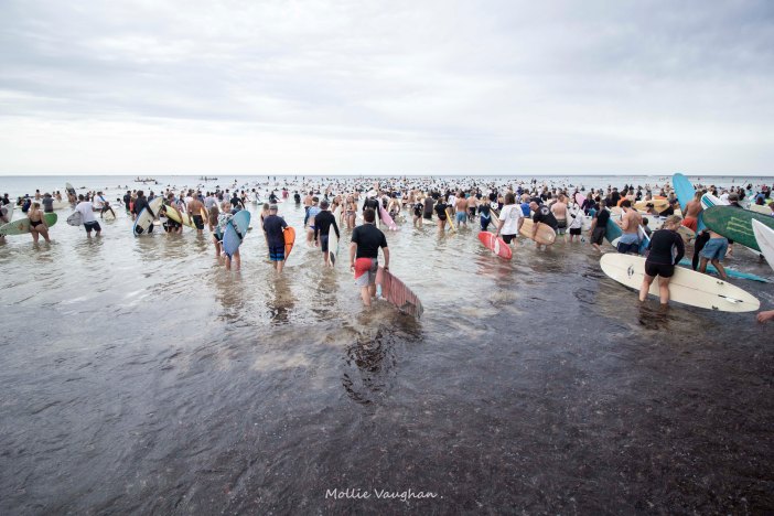 Fight for the Bight 1