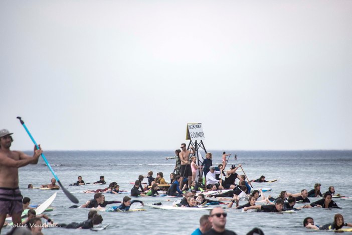 Fight for the Bight 2