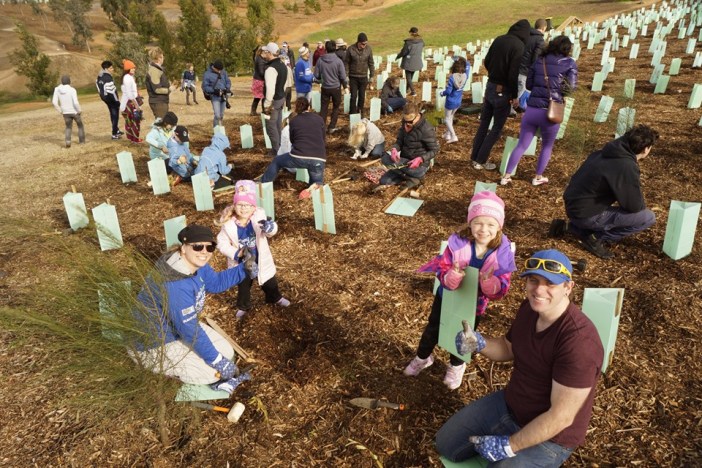 Tree Planting 2019