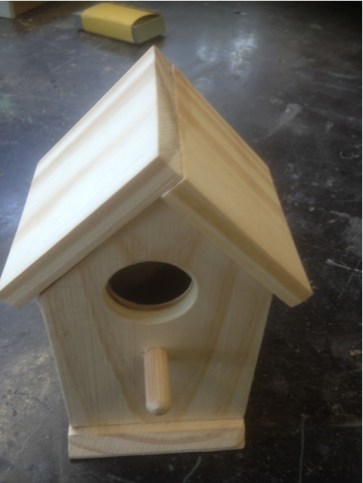 Bird Boxes