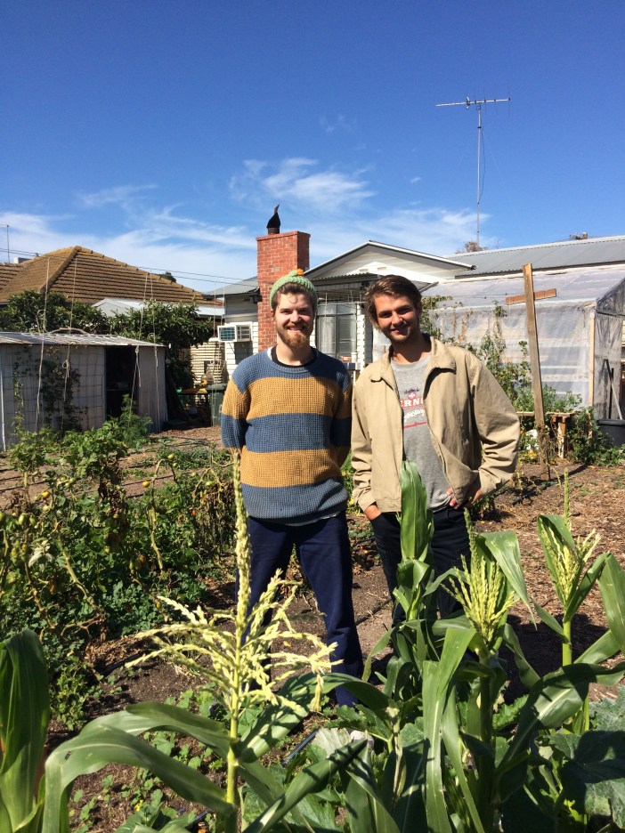 Farm Next Door Lachie and Joel